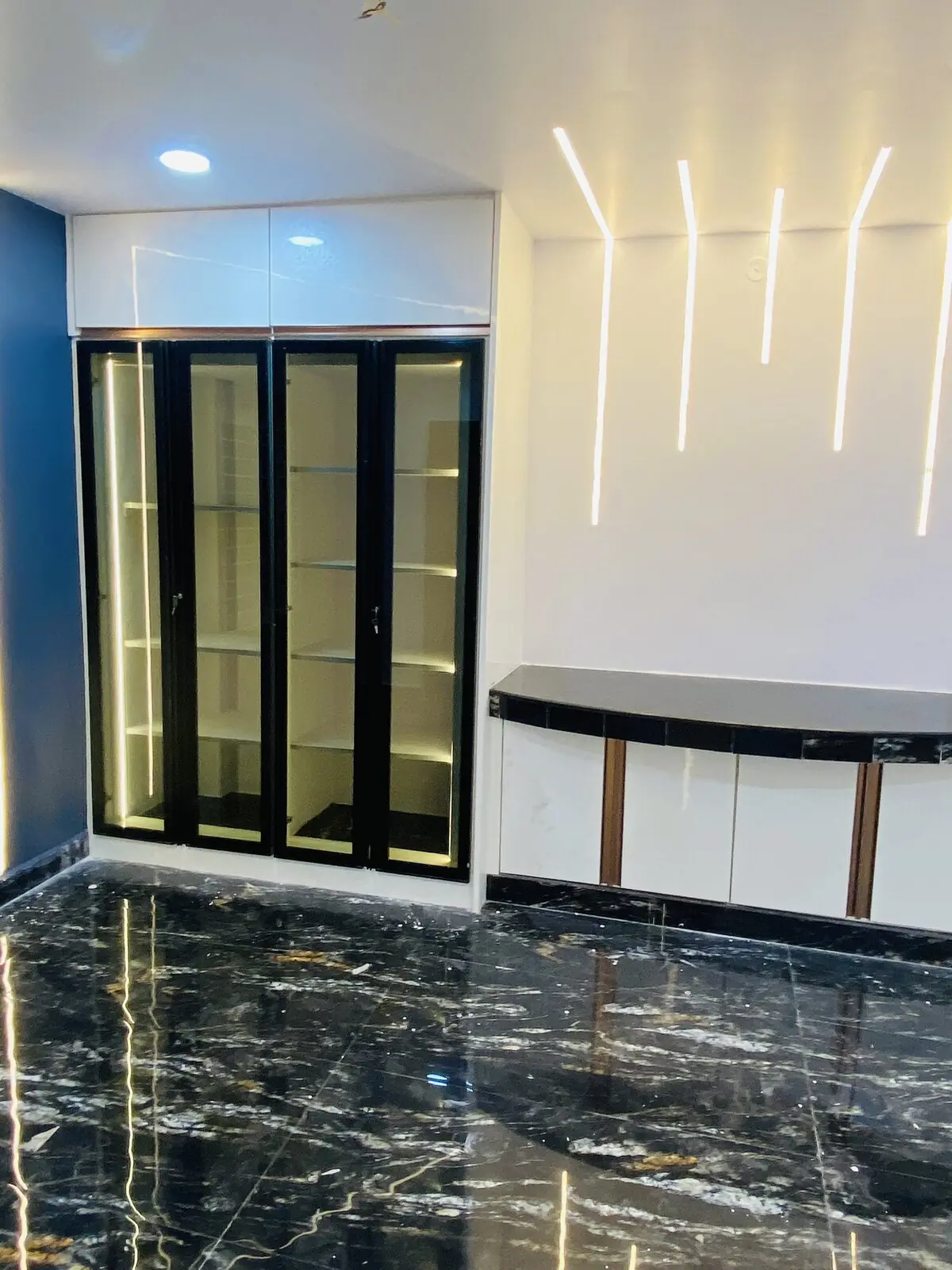 Glass-front display & bar unit